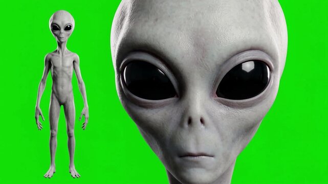 Classic grey alien full body and portrait close up on green screen, chroma key for VFX and sci fi concept cinema