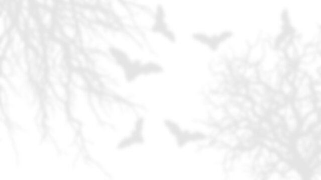 Halloween Bat Shadow Overlay, Flying Bats and Bare Tree Branches