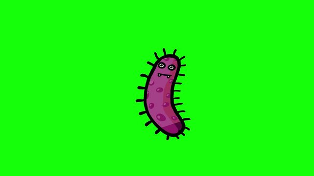 Bacteria cartoon animation on green screen,  Greenbox character isolated black outline.