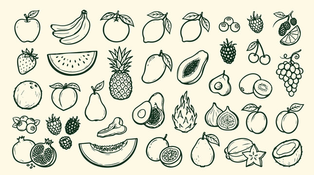 Healthy Food Hand Drawn Doodle Collection