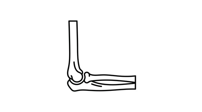 Modern Minimalist Black and White Line Drawing of a Human Arm and Hand Skeleton Structure with high quality professional line art symbols for modern creative design and digital branding projects