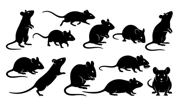 Black and white mouse silhouette set with different realistic poses vector collection