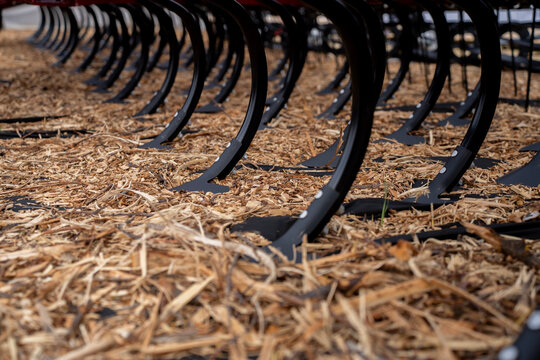 Rows of curved steel cultivator tines positioned above straw covered soil during agricultural land preparation.