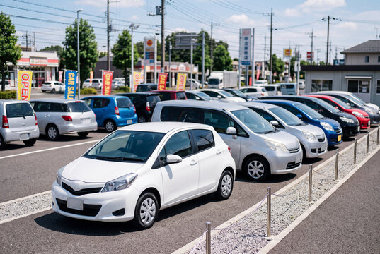 中古車販売店の屋外展示場に並ぶ複数の乗用車