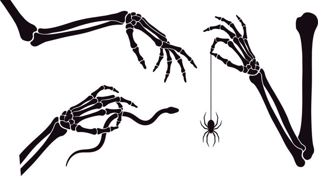 Skeleton hands vector collection with snake and spider for Halloween design