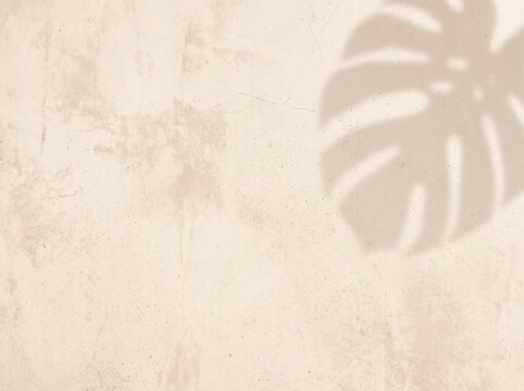 Neutral Beige Concrete Background with Very Soft Tropical Monstera Leaf Shadows and Warm Summer Texture
