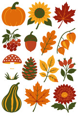 Fototapeta premium Autumn Harvest Elements Collection with Pumpkin Sunflower Maple Leaf and Forest Berries