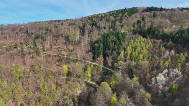 forested hillside switchback trail climbs konigstuhl hilltop communications tower spring budding trees mixed forest woodland canopy heidelberg germany aerial view drone footage elevated overlook