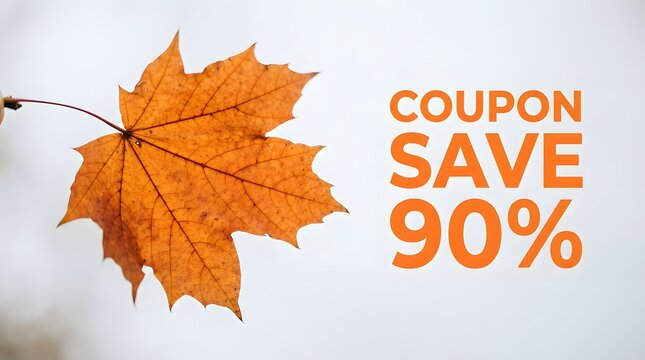 Autumn maple leaf with orange coupon save 90% text on a light background