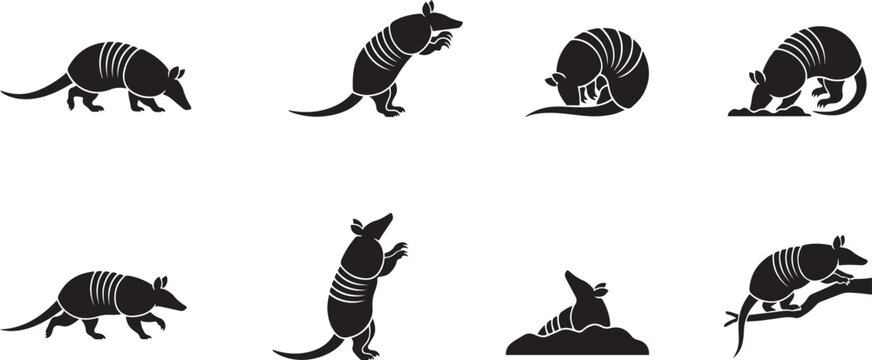Collection of armadillo silhouette icons climbing and moving isolated on white background for wildlife design. silhouette icons vector