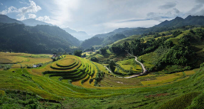 Golden Rice Terraces in Sapa Valley, Lao Cai, Vietnam