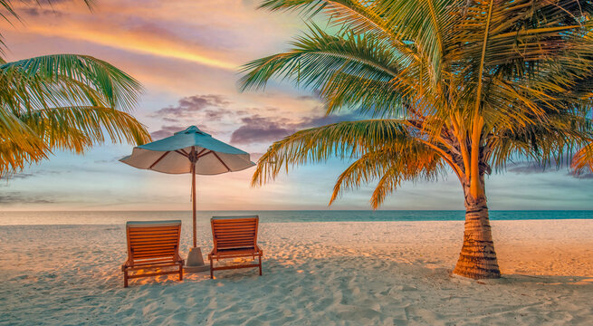 Romantic tropical beach palm trees sunbeds golden sunset silhouette calm sea sand sky shore summer paradise. Perfect summer vacation travel scene. Luxury honeymoon relax couples tranquil background