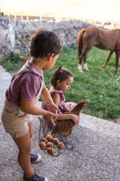 Siblings collecting eggs from a hen in their country yard