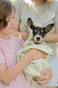 Cute puppy wrapped in soft towel