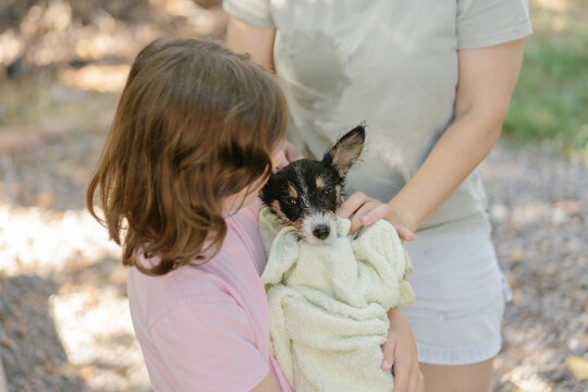 Puppy wrapped in soft towel