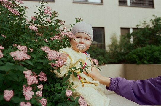 Baby sits among pink flowers while mom's hand  keeps from falling