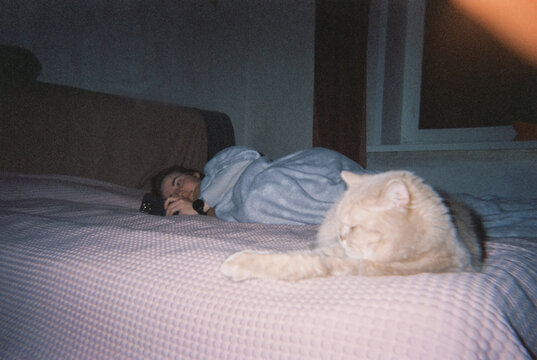 Person Looking at Phone in Bed with a Cat Creating Cozy Home Scene