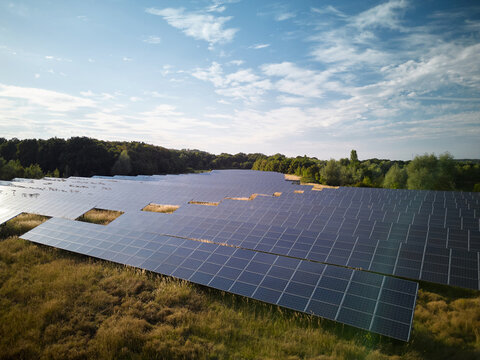 Solar Panels Spread Across a Field in a Sunny Day