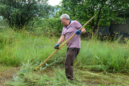Senior Farmer Mowing Grass with Traditional Scythe in Field