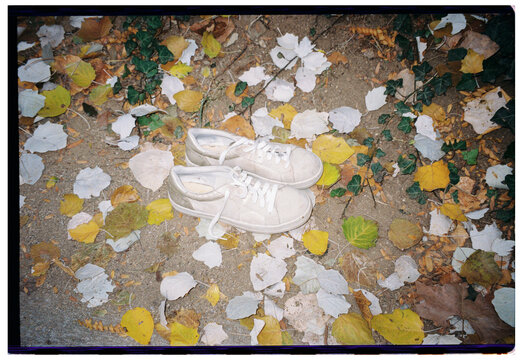 White Sneakers Among Fallen Leaves