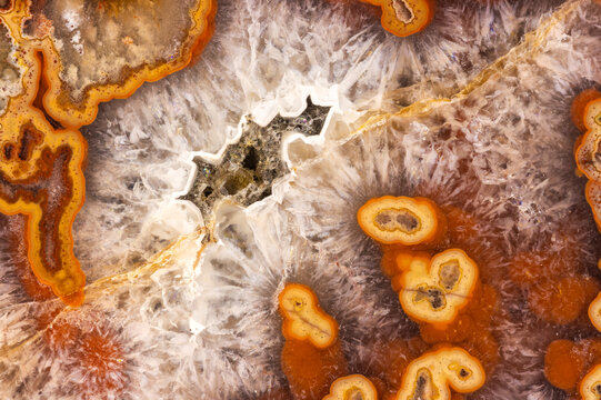 American Agate Close Up