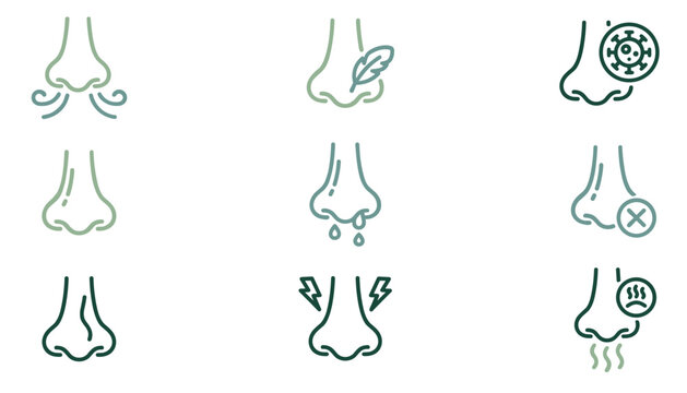Nose anatomy and nasal health medical icon set vector illustration featuring breathing runny nose allergy smell and virus symbols