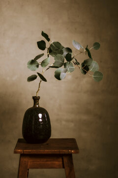 Decorative Plant Branch in a Vase on a Wooden Table