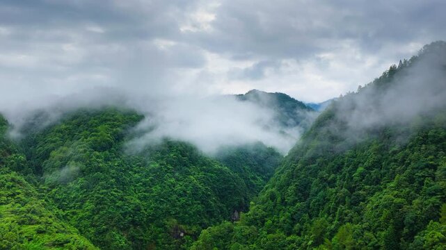 Lush green forest mountains covered with dense trees under a cloudy sky, with low clouds and fog drifting across the valley under diffuse daylight.