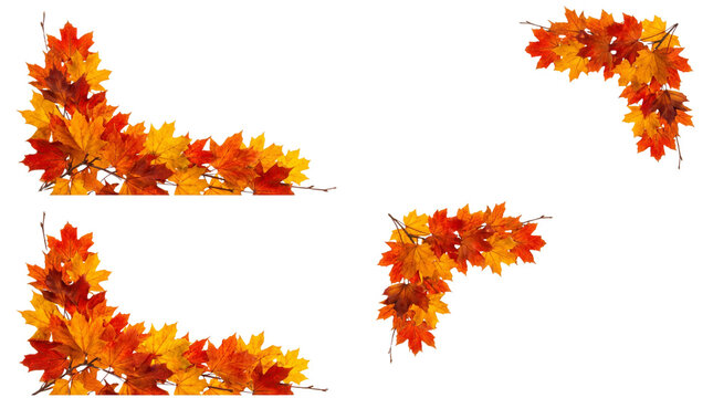 Autumn Maple Leaves Corner Border Set, Vibrant Fall Foliage Frame Elements on Black Background for Thanksgiving