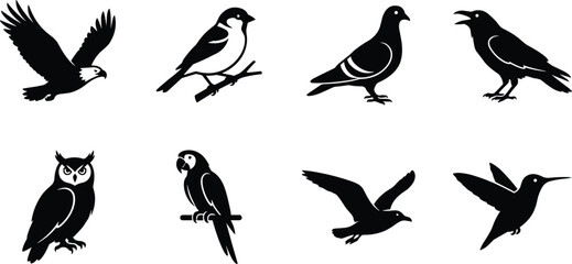 Obraz premium Vector illustration of bird silhouettes including eagle, sparrow, pigeon, crow, owl, parrot, seagull, and hummingbird in black minimalist style