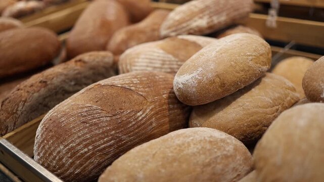 Fresh artisan bread loaves arranged in supermarket bakery display with rustic crust flour dusting and varied shapes offering traditional baked goods for everyday shopping