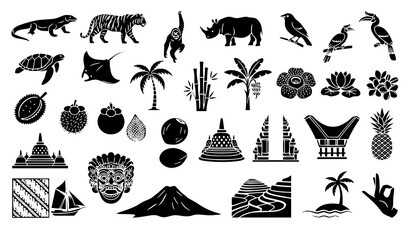 Fototapeta premium Indonesian Islands Travel Tropical Wildlife and Culture Glyph Set