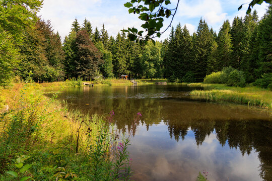 "Schwarzer Teich" Ausflugsziel nahe Oberwiesenthal