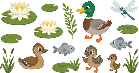 Obraz premium Cute pond life animal set featuring mallard duck ducklings fish water lily vector illustration
