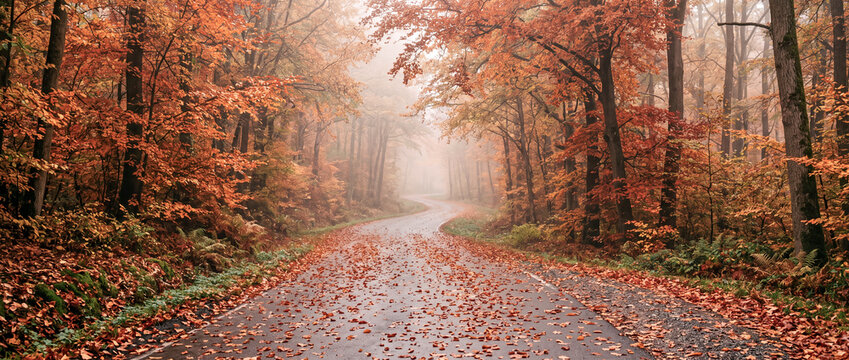 Autumn road with falling leaves in a foggy forest during a quiet morning Generative AI