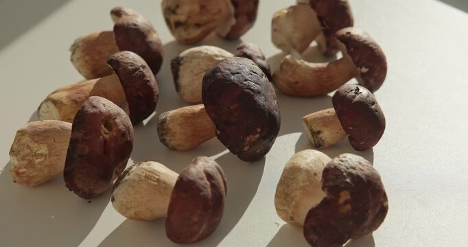 Slow motion wild mushrooms shifting on white tabletop under warm directional morning sunlight with subtle lateral pan.