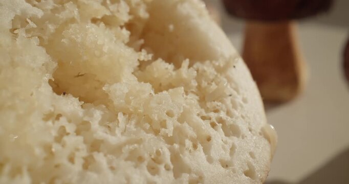 Slow motion maggots crawling and wriggling on porous porcini mushrooms surface on tabletop in kitchen, macro probe view.