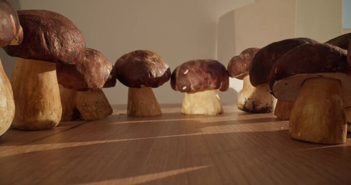Panning probe shot of porcini mushrooms arranged on wooden table in warm indoor kitchen light.