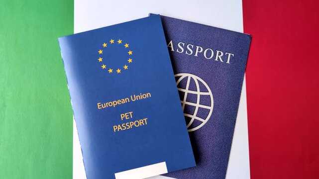 A pet passport is a document with vaccination and travel information for a cat, dog, or other animal. A pet passport as a background for your design