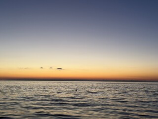 Fototapeta premium sunset over the sea