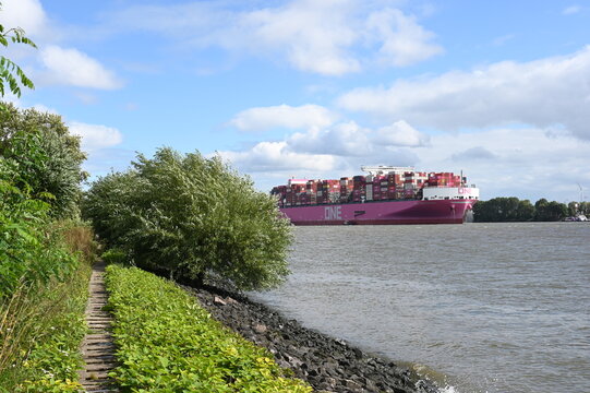 Hamburg, Germany - August 23, 2026: Containerschiff der singapurischen Containerreederei Ocean Network Express Pte. Ltd. (ONE) f&auml;hrt auf der Elbe.