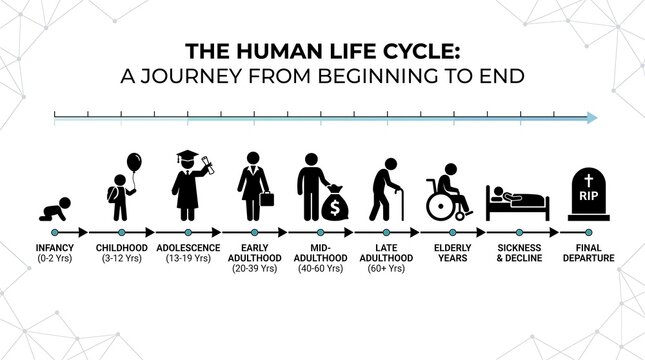 Human life cycle infographic, aging process timeline from birth to death, stages of human development icons on white background