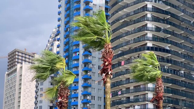 Palm trees bending in wind, low-angle view beside residential towers, showing coastal property exposure to severe weather for real estate risk, insurance, maintenance and building management use