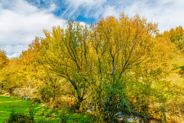 Fototapeta premium Forests, La Hiruela, Sierra Norte, Madrid, Spain