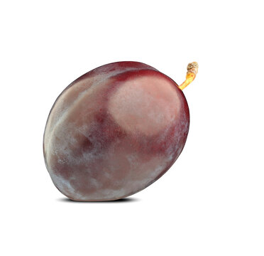 purple Damson plum
