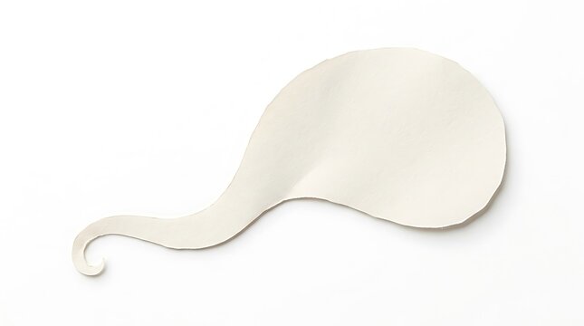 Blank paper speech bubble shape with a curvy tail paper craft blank sign