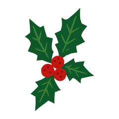 Obraz premium PNG Festive holly leaves berries illustration.