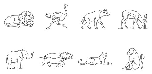 Fototapeta premium A collection of hand-drawn animal sketches depicting a lion ostrich hyena gazelle elephant hippopotamus cheetah and monkey.