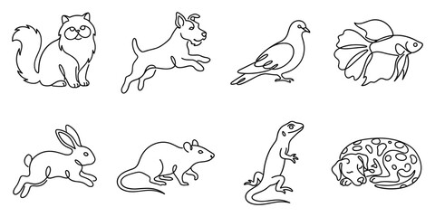 Obraz premium A collection of line art drawings depicting various pets and animals.