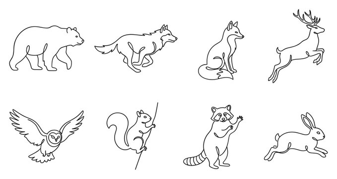 Line art collection of wild animals including a bear wolf fox deer owl squirrel raccoon and rabbit.